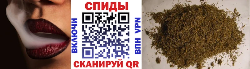 Купить где Струнино Бутират BDO