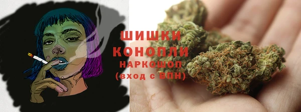 ПСИЛОЦИБИНОВЫЕ ГРИБЫ Гусев