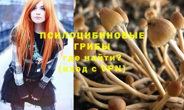 винт Гусиноозёрск