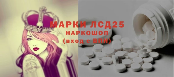 ПСИЛОЦИБИНОВЫЕ ГРИБЫ Гусев