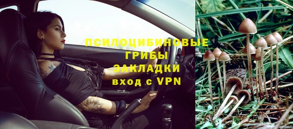 ПСИЛОЦИБИНОВЫЕ ГРИБЫ Гусев