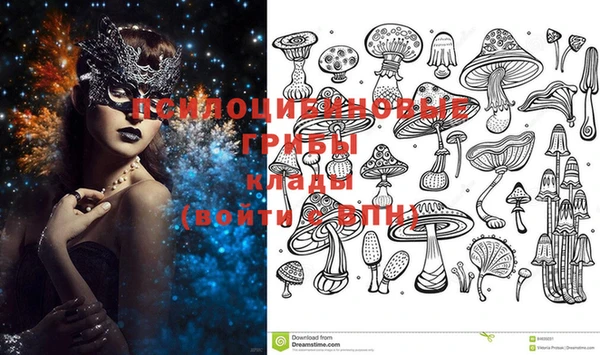 винт Гусиноозёрск