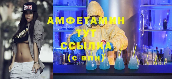 ПСИЛОЦИБИНОВЫЕ ГРИБЫ Гусев