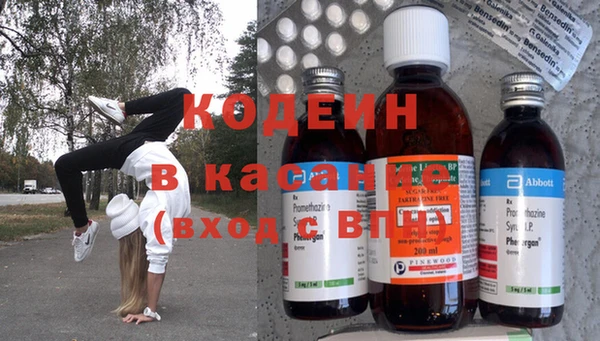 ПСИЛОЦИБИНОВЫЕ ГРИБЫ Гусев