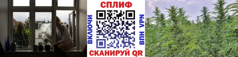 Каннабис тримм Струнино